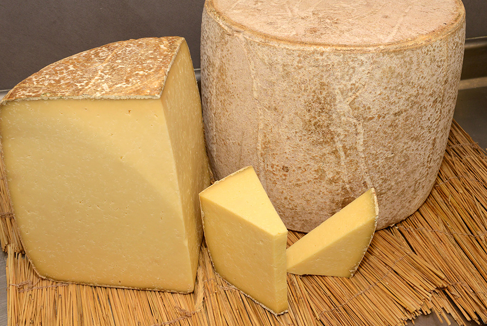 cantal Les fromages